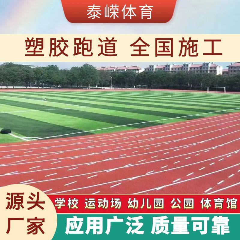 河北全塑型塑胶跑道
